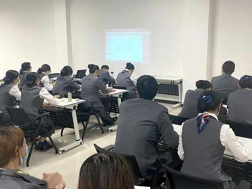 政务服务业务咨询电话 参加社会保险事项培训与信息咨询服务详解